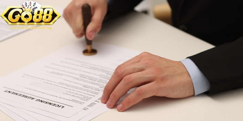 Thông tin giấy phép và hiệu lực